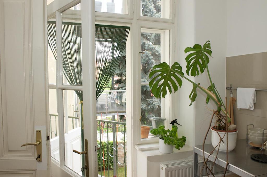 Wohnzimmer * Krems an der Donau